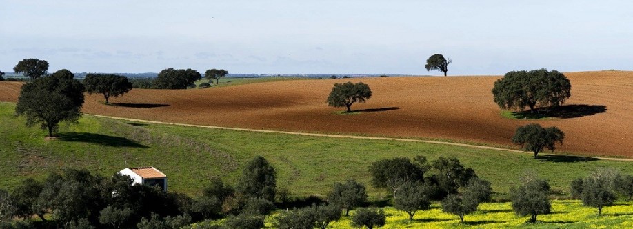 Alentejo Ao Rubro